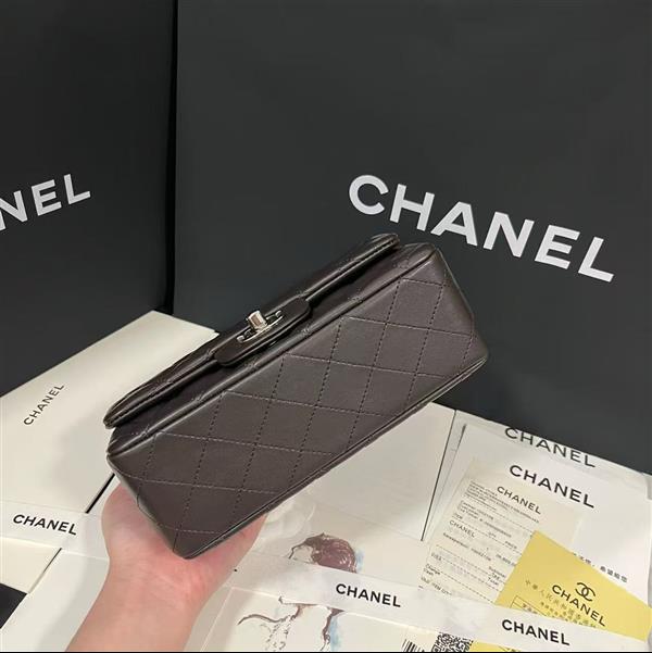 2026127205646949 380